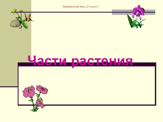 Части растения Окружающий мир ( 2 класс )