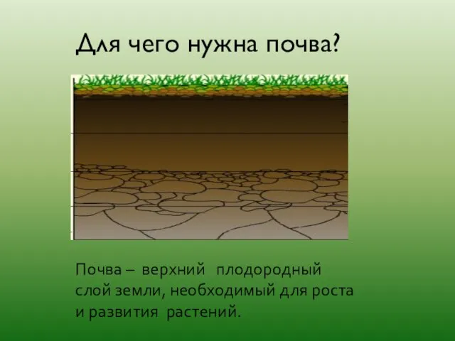 Для чего нужна почва? Почва – верхний плодородный слой земли, необходимый для роста и развития растений.