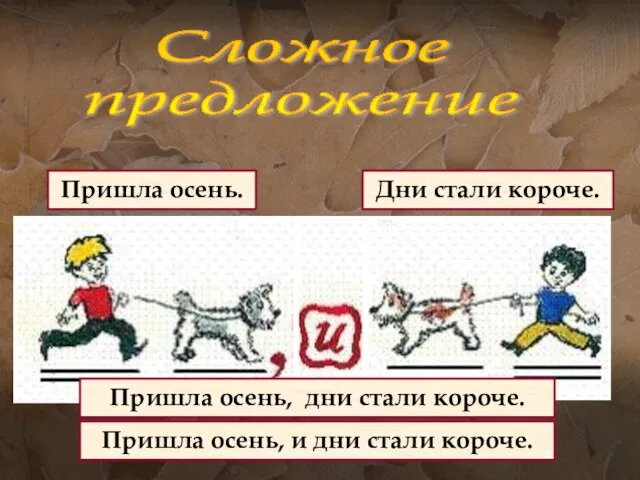 Сложное предложение Пришла осень. Дни стали короче. Пришла осень, и дни стали