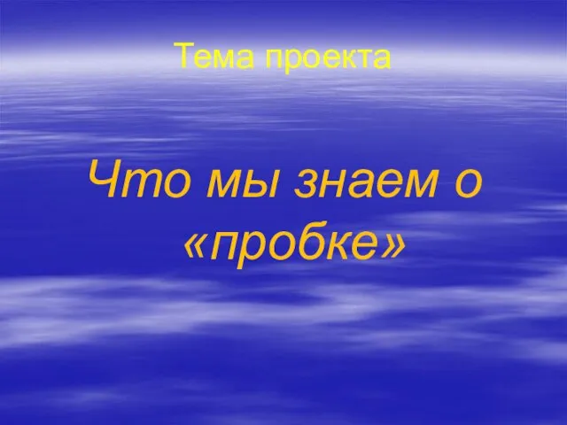 Тема проекта Что мы знаем о «пробке»