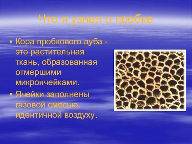 Что я узнал о пробке Кора пробкового дуба - это растительная ткань,