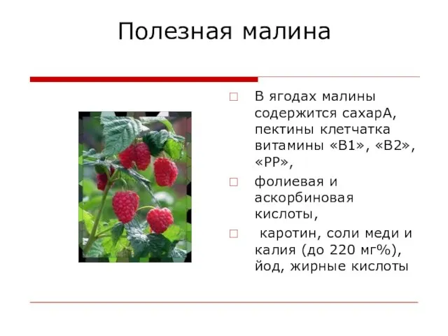 Полезная малина В ягодах малины содержится сахарА, пектины клетчатка витамины «В1», «В2»,