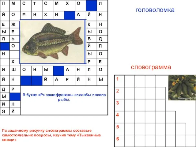 головоломка словограмма По заданному рисунку словограммы составьте самостоятельно вопросы, изучив тему «Тыквенные овощи»