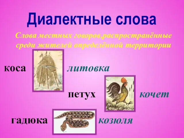 Диалектные слова Слова местных говоров,распространённые среди жителей определённой территории Коса литовка петух кочет гадюка козюля