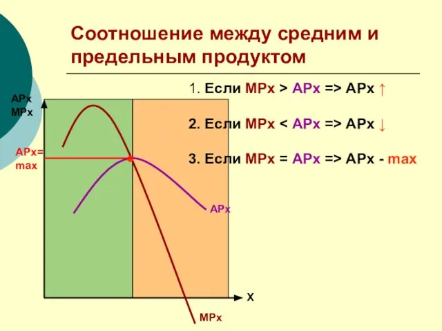 Соотношение между средним и предельным продуктом АРх МРх Х АРх МРх ●