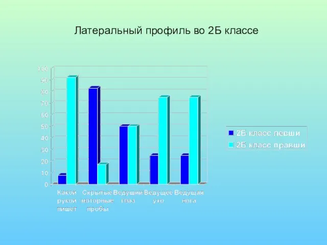 Латеральный профиль во 2Б классе