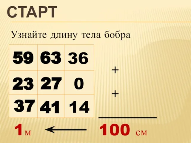 СТАРТ Узнайте длину тела бобра 36 27 37 + + 100 см 1м