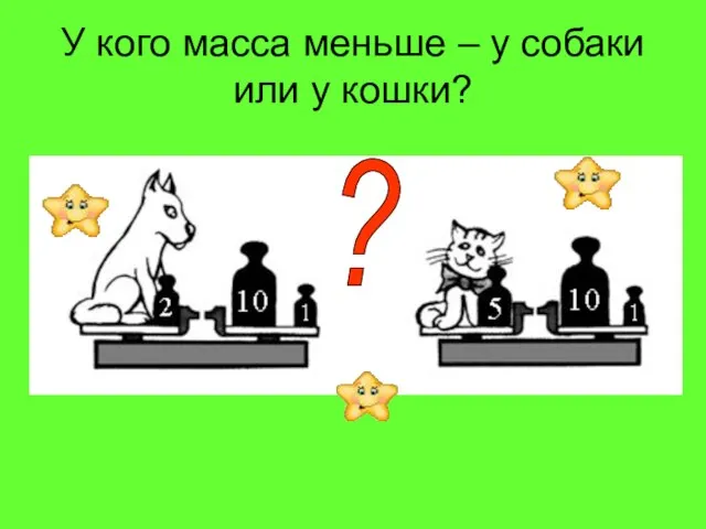 У кого масса меньше – у собаки или у кошки? ?