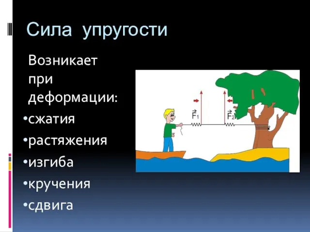 Сила упругости Возникает при деформации: сжатия растяжения изгиба кручения сдвига