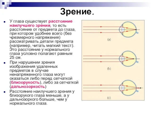 Зрение. У глаза существует расстояние наилучшего зрения, то есть расстояние от предмета