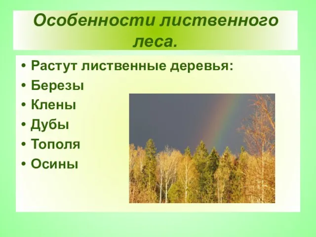 Особенности лиственного леса. Растут лиственные деревья: Березы Клены Дубы Тополя Осины