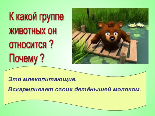 К какой группе животных он относится ? Почему ? Это млекопитающие. Вскармливает своих детёнышей молоком.