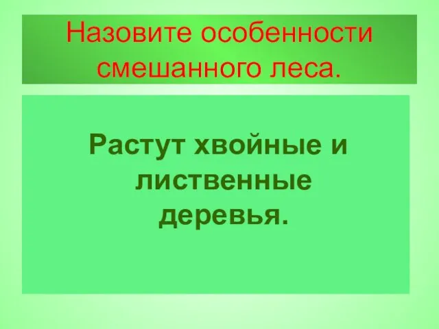 Назовите особенности смешанного леса. Растут хвойные и лиственные деревья.