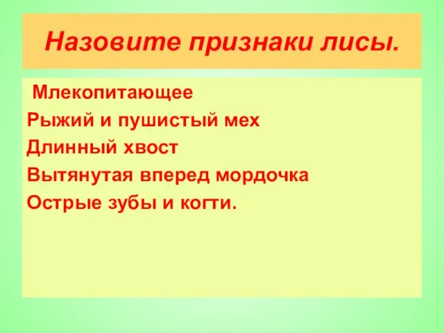 Назовите признаки лисы. Млекопитающее Рыжий и пушистый мех Длинный хвост Вытянутая вперед