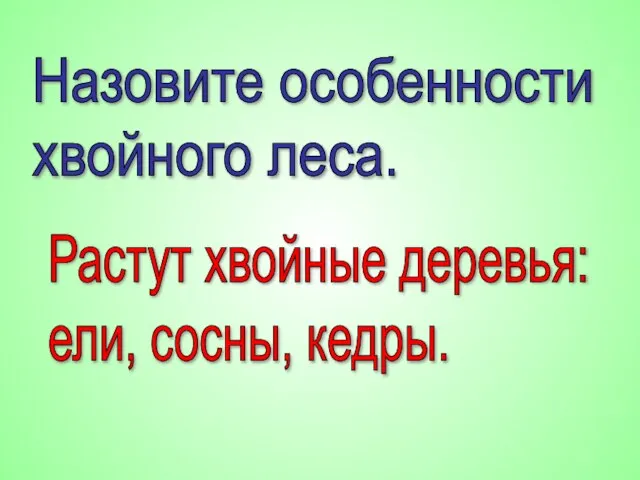 Назовите особенности хвойного леса. Растут хвойные деревья: ели, сосны, кедры.