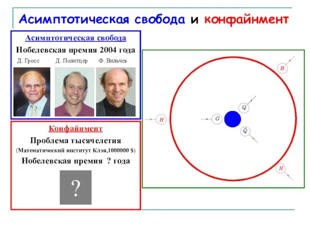 Асимптотическая свобода и конфайнмент Асимптотическая свобода Нобелевская премия 2004 года Д. Гросс