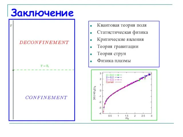 Заключение Квантовая теория поля Статистическая физика Критические явления Теория гравитации Теория струн Физика плазмы