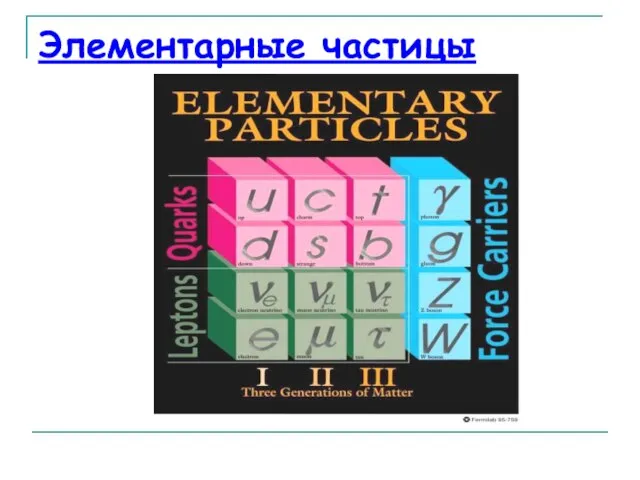 Элементарные частицы