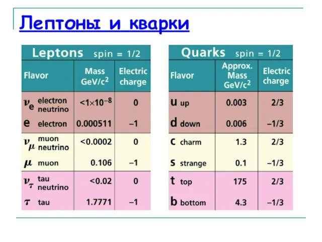 Лептоны и кварки