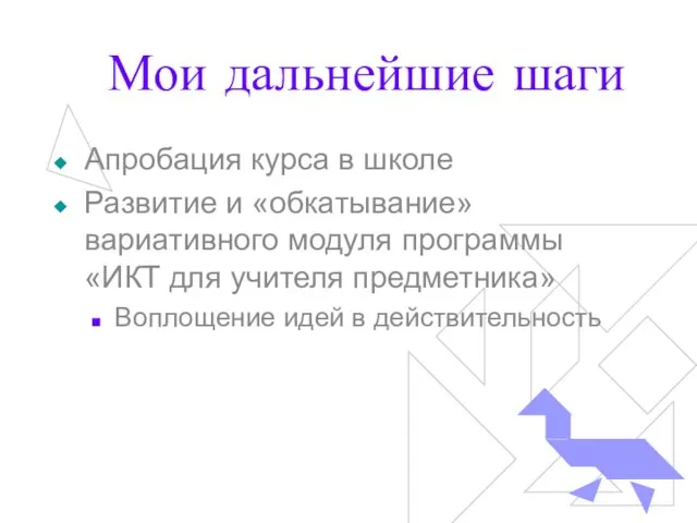 Мои дальнейшие шаги Апробация курса в школе Развитие и «обкатывание» вариативного модуля