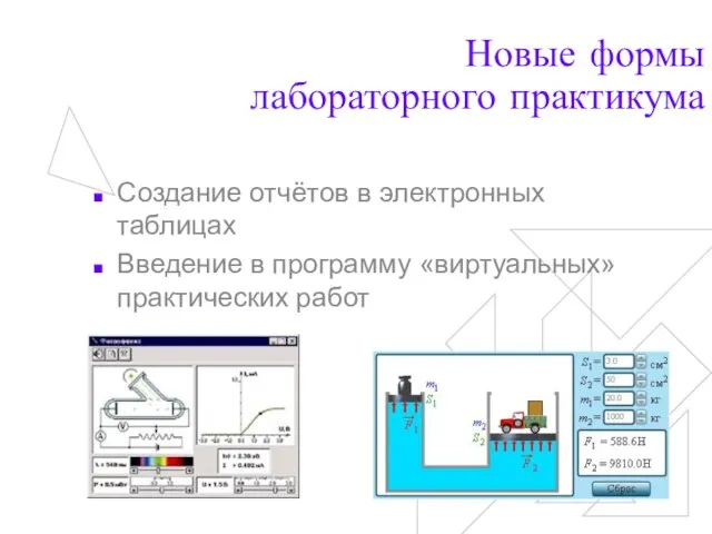 Новые формы лабораторного практикума Создание отчётов в электронных таблицах Введение в программу «виртуальных» практических работ