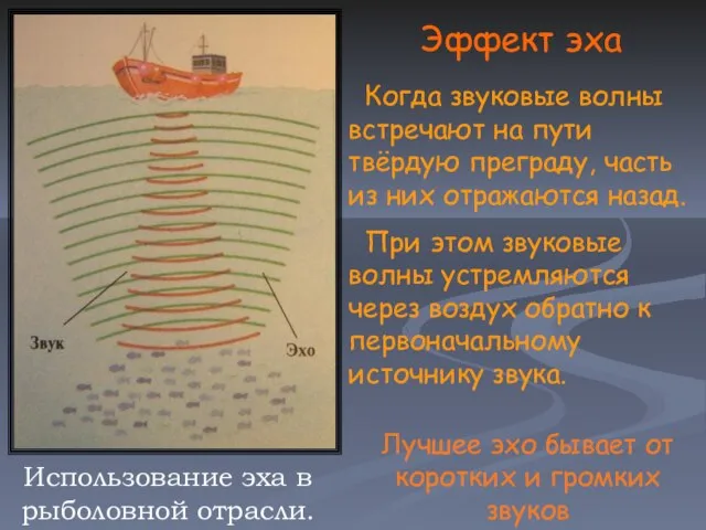 Когда звуковые волны встречают на пути твёрдую преграду, часть из них отражаются