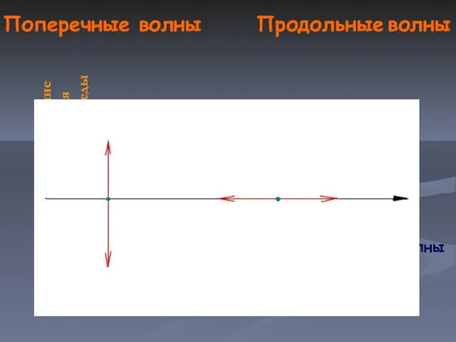 Поперечные волны Продольные волны волны Направление колебания частицы среды Направление колебания частицы среды