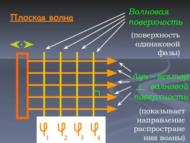 1 2 3 4 Плоская волна Луч – вектор волновой поверхности (показывает