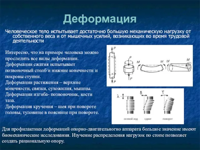 Деформация Человеческое тело испытывает достаточно большую механическую нагрузку от собственного веса и