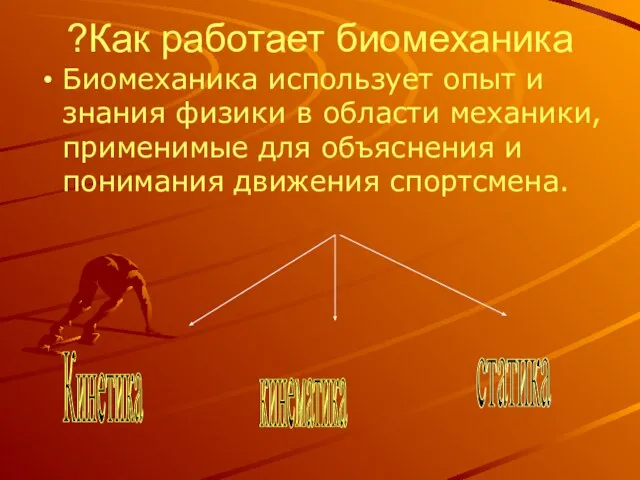 Как работает биомеханика? Биомеханика использует опыт и знания физики в области механики,