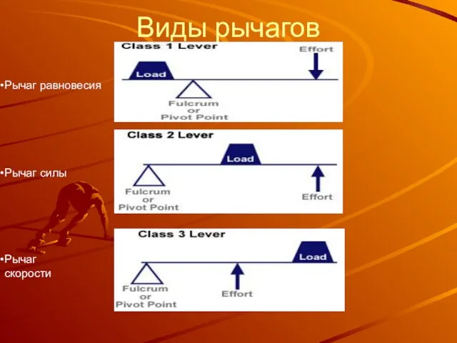 Виды рычагов Рычаг равновесия Рычаг силы Рычаг равновесия Рычаг равновесия Рычаг равновесия Рычаг скорости