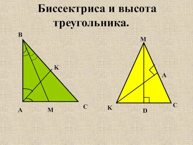 Биссектриса и высота треугольника.