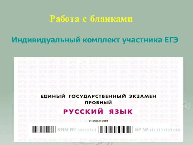 Работа с бланками Индивидуальный комплект участника ЕГЭ КИМ № 55515111 КИМ № 55515111 БР № 3111111111114