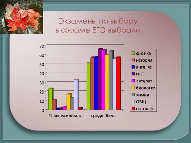 Экзамены по выбору в форме ЕГЭ выбрали