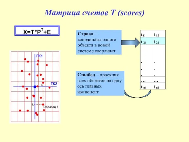 Матрица счетов T (scores)