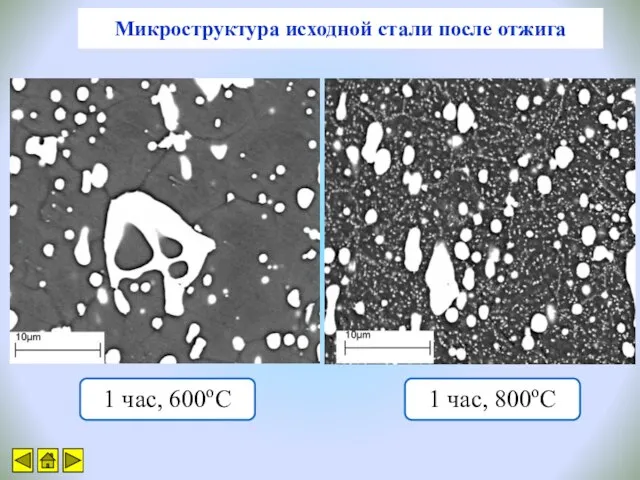 Микроструктура исходной стали после отжига 1 час, 800оС 1 час, 600оС