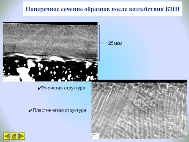 Поперечное сечение образцов после воздействия КПП ~25мкм Ячеистая структура Пластинчатая структура