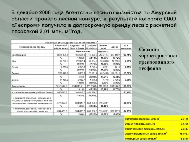 В декабре 2006 года Агентство лесного хозяйства по Амурской области провело лесной