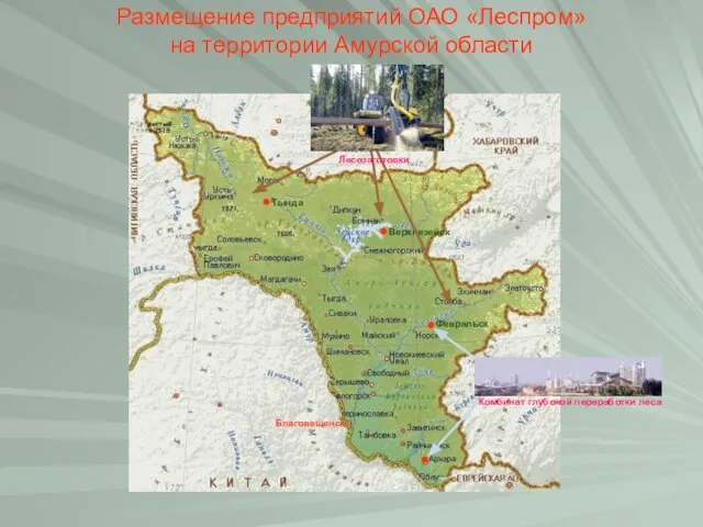 Размещение предприятий ОАО «Леспром» на территории Амурской области Благовещенск Февральск Верхнезейск Тында