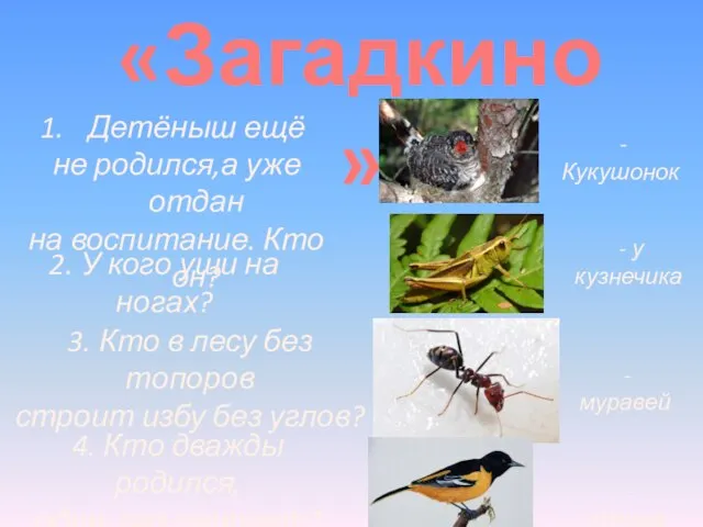 «Загадкино» Детёныш ещё не родился,а уже отдан на воспитание. Кто он? -