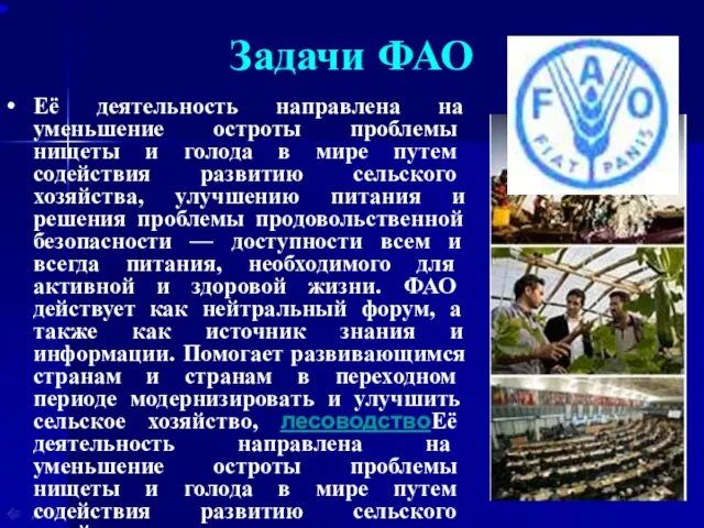 Задачи ФАО Её деятельность направлена на уменьшение остроты проблемы нищеты и голода