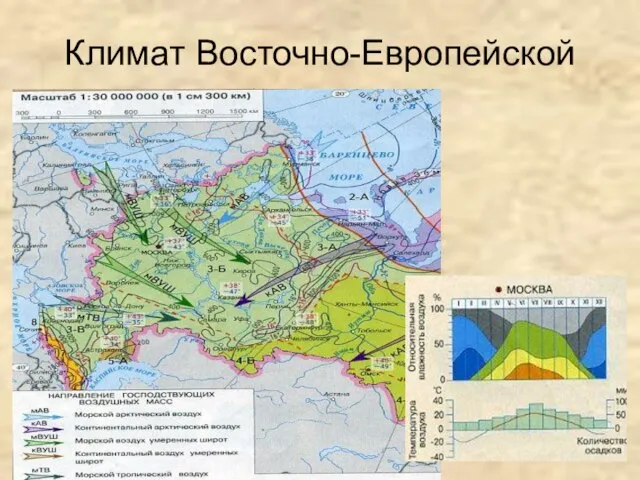 Климат Восточно-Европейской равнины.