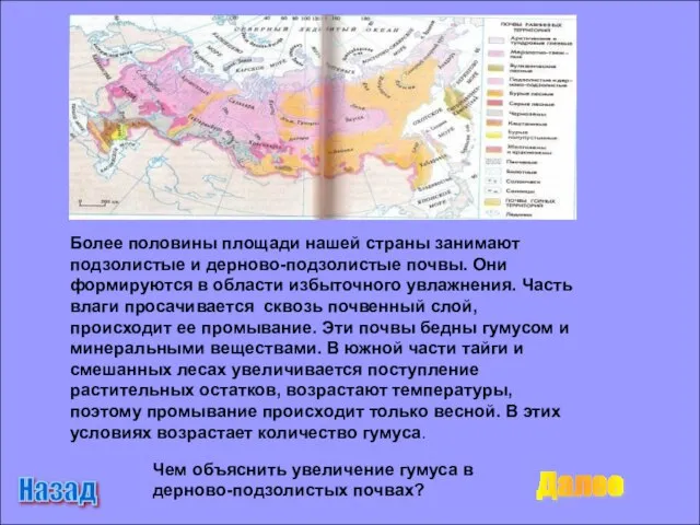 Более половины площади нашей страны занимают подзолистые и дерново-подзолистые почвы. Они формируются