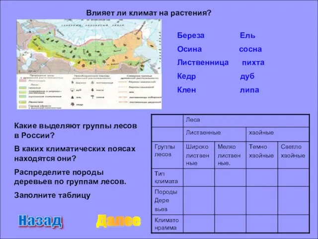 Влияет ли климат на растения? Какие выделяют группы лесов в России? В