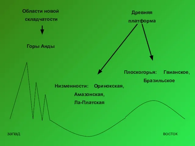 Области новой складчатости Древняя платформа Горы Анды Низменности: Оринокская, Амазонская, Ла-Платская Плоскогорья: Гвианское, Бразильское запад восток