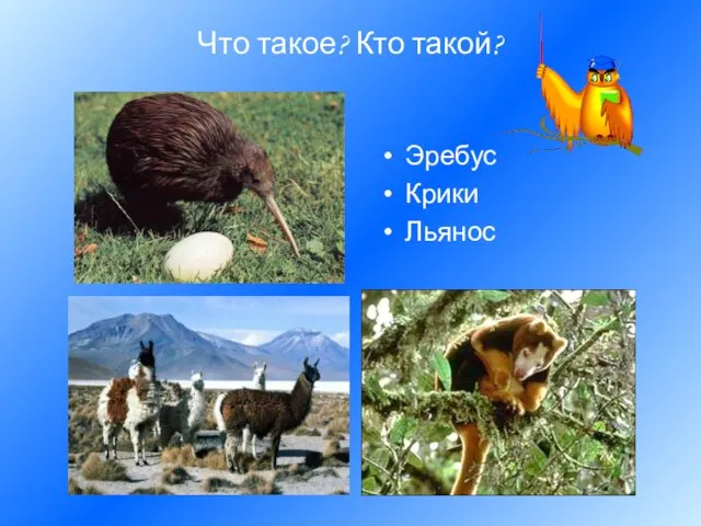 Что такое? Кто такой? Эребус Крики Льянос