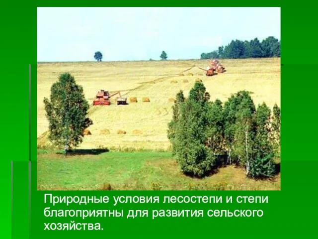 Природные условия лесостепи и степи благоприятны для развития сельского хозяйства.