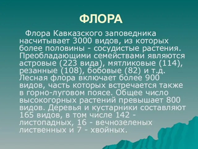 ФЛОРА Флора Кавказского заповедника насчитывает 3000 видов, из которых более половины -