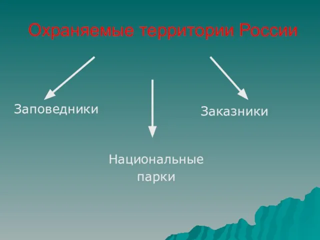 Охраняемые территории России Заповедники Заказники Национальные парки