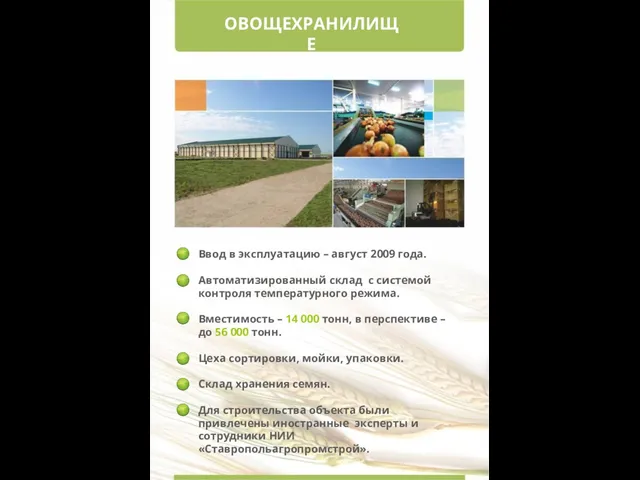 ОВОЩЕХРАНИЛИЩЕ Ввод в эксплуатацию – август 2009 года. Автоматизированный склад с системой